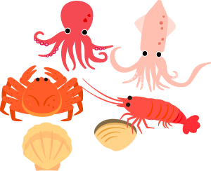 イカ・タコ・エビ・カニ・貝