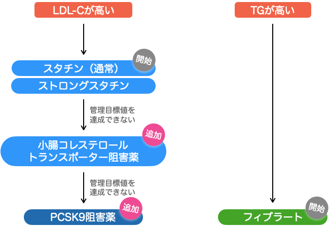 脂質異常症の治療ストラテジー